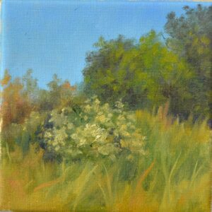 "bliss of summer" oil on canvas 10x10 cm